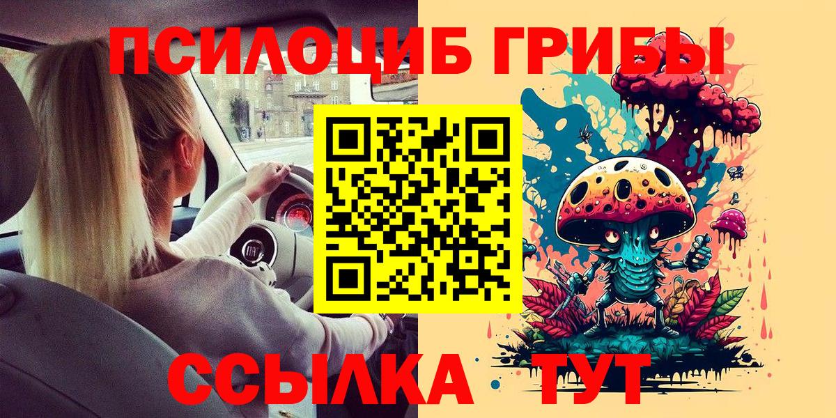 Галлюциногенные грибы Psilocybine cubensis  как найти закладки  Канаш  Галлюциногенные грибы MAGIC MUSHROOMS  Вход с VPN 